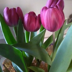 Meet your Posher, Linda